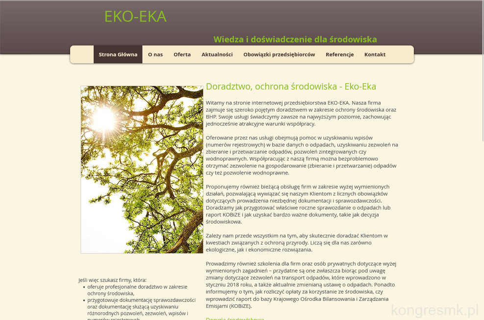 Eko-Eka S.C. strona www