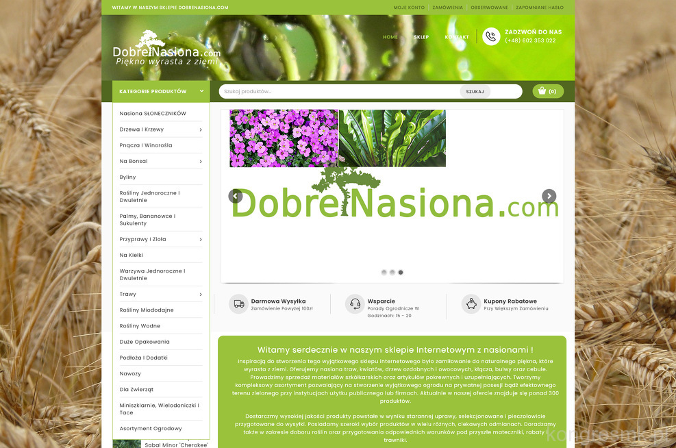 Dobrenasiona.com strona www