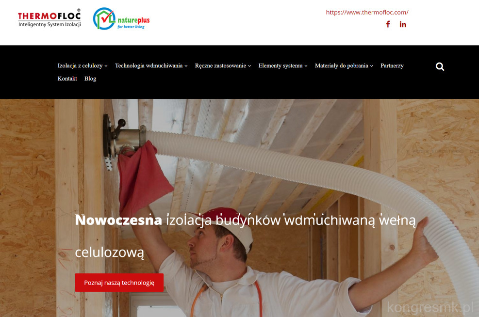 Thermofloc Polska strona www
